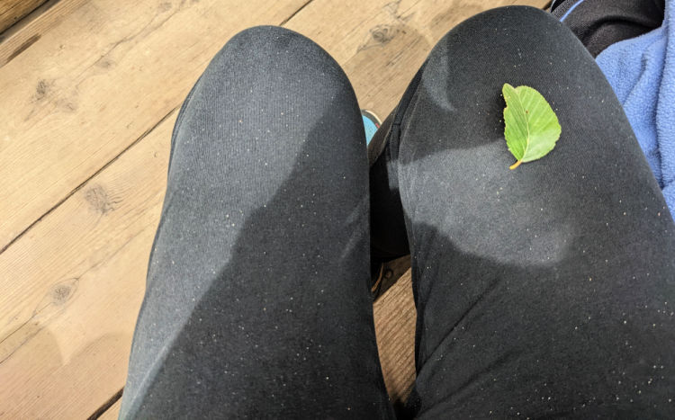 Debris from Train Ride