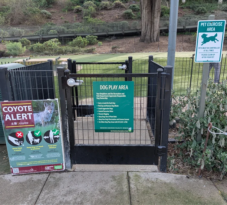 The new dog play area near Fisherman's Wharf