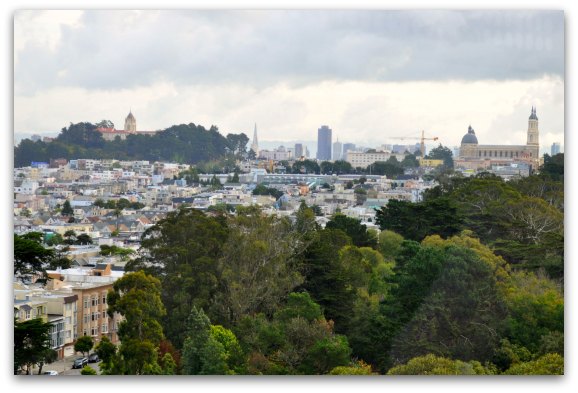 A view of downtown San Francisco from the de Young Observation Deck in Golden Gate Park
