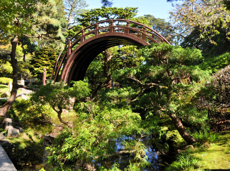 Drum Bridge in the Japanese Tea Garden in Golden Gate Park Drum Bridge in the Japanese Tea Garden in Golden Gate Park