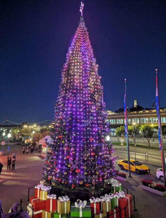 Pier 39 Christmas Tree in San Francisco