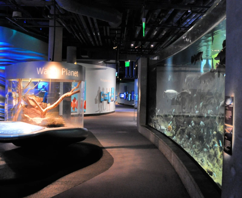 Exhibits inside the California Academy of Sciences  Exhibits inside the California Academy of Sciences