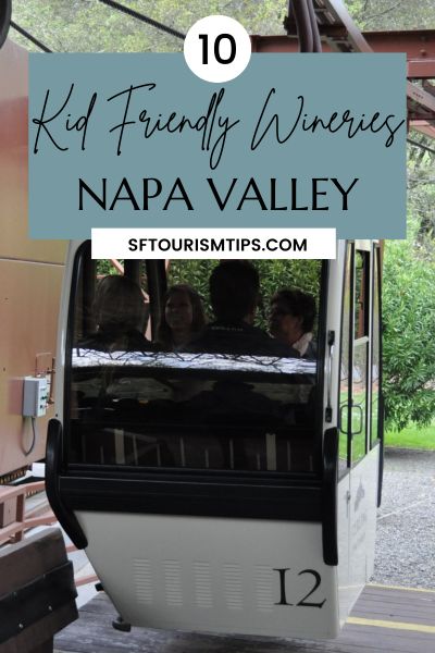 Family Friendly Wineries Napa Valley Pin