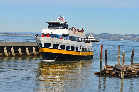 Fisherman's Wharf & Pier 39 Insider's Guide - Dylan's Tours
