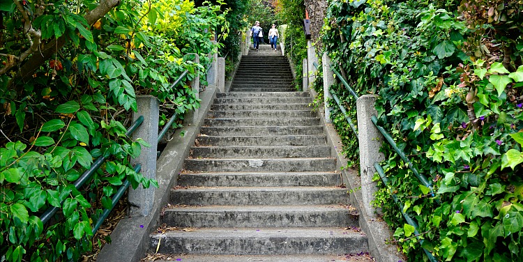 Filbert at Montgomery