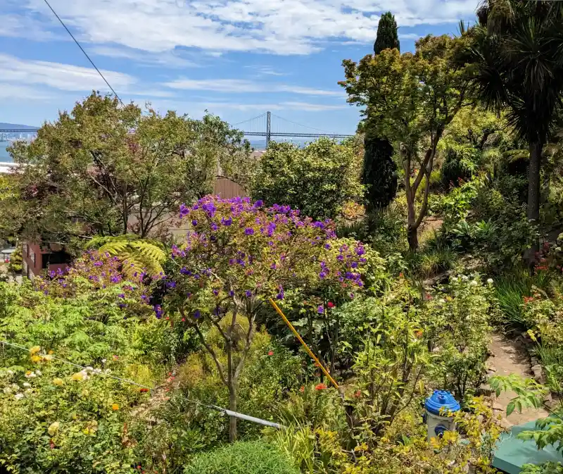 Filbert Street Gardens in San Francisco Filbert Street Gardens in San Francisco