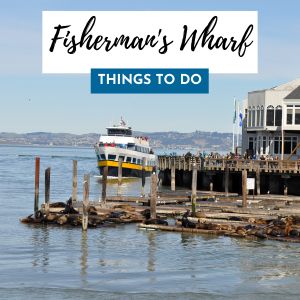 Fishermans Wharf Things 300