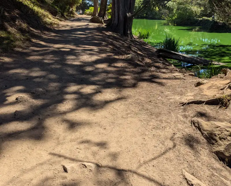 Flat Trail on Strawberry Hill at Blue Heron Lake Flat Trail on Strawberry Hill at Blue Heron Lake