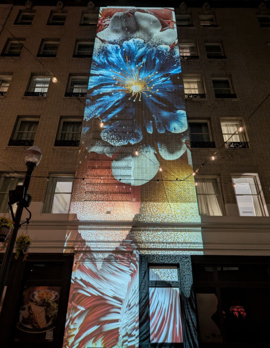 Flowers on the Let's Glow SF Festival