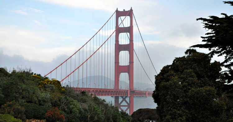 Fog On the Golden Gate Bridge