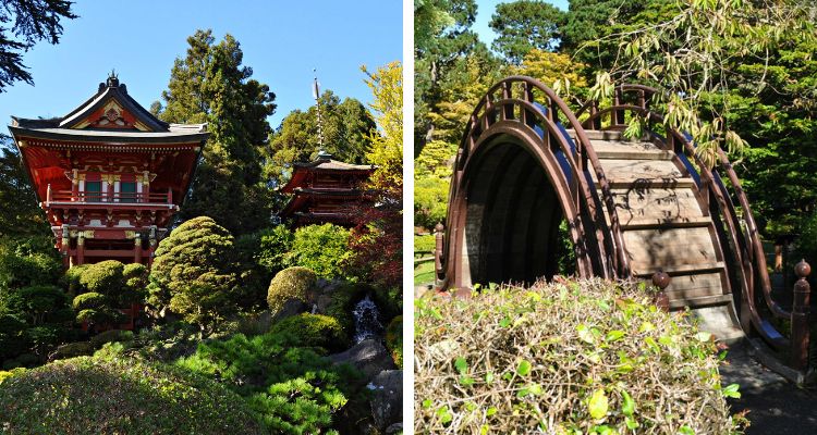 Free Japanese Tea Gardens