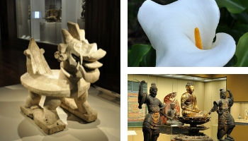 Free Museum Days in February Free Museum Days in February