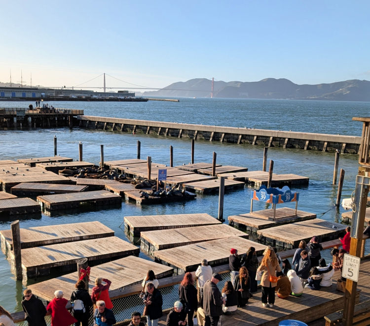 Golden Gate Bridge from Pier 39 Golden Gate Bridge from Pier 39