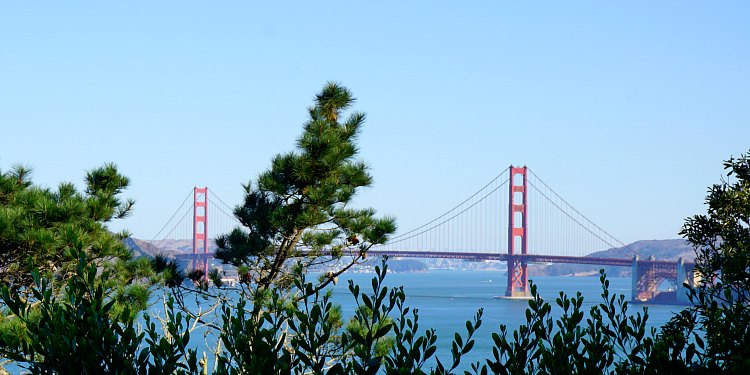 Golden Gate Bridge through the trees at the Land's End Trail Golden Gate Bridge through the trees at the Land's End Trail