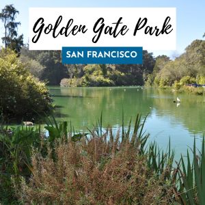 golden gate park 300