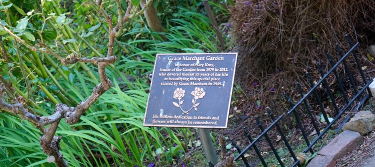 Grace Marchant Gardens