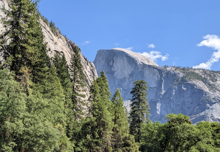 Half Dome from the Floor of Yosemite Valley