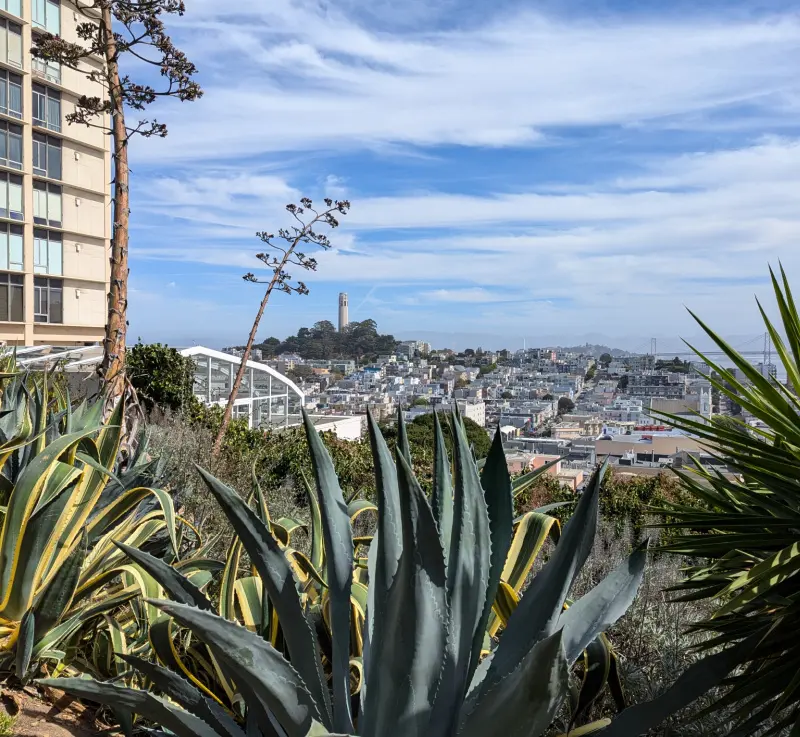 Views from Ina Coolbrith Park