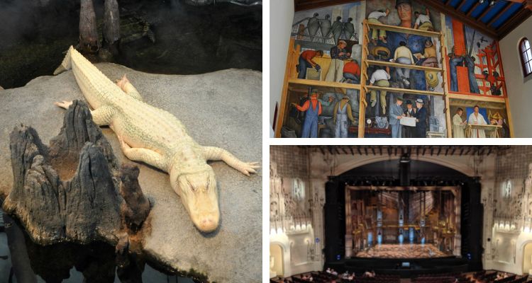 Things to Do On A Rainy Day in San Francisco