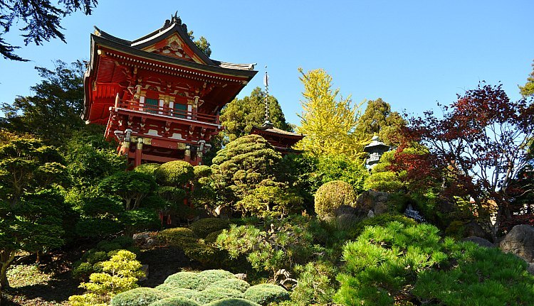 Japanese Tea Garden GGP