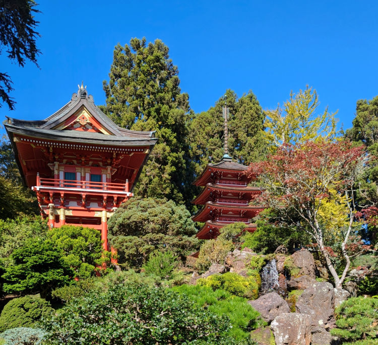 Japanese Tea Garden in San Francisco in the Fall