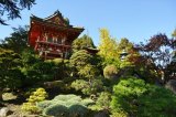 Japanese tea garden in San Francisco