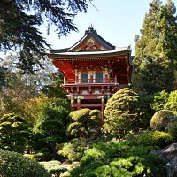 Japanese Tea Gardens Japanese Tea Gardens