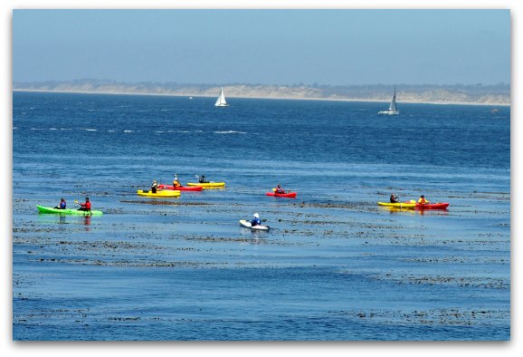 Several people kayaking in Monterey