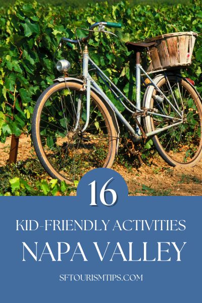 Biking through the vineyards in Napa Valley