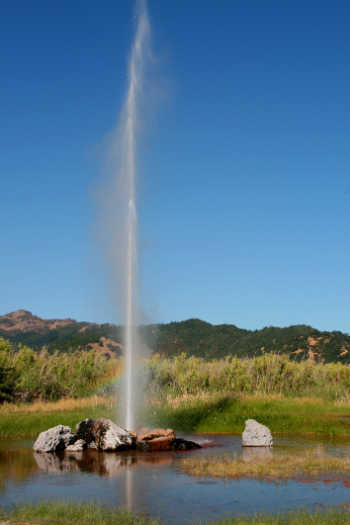 Kids in Napa at the Old Faithful Geyser