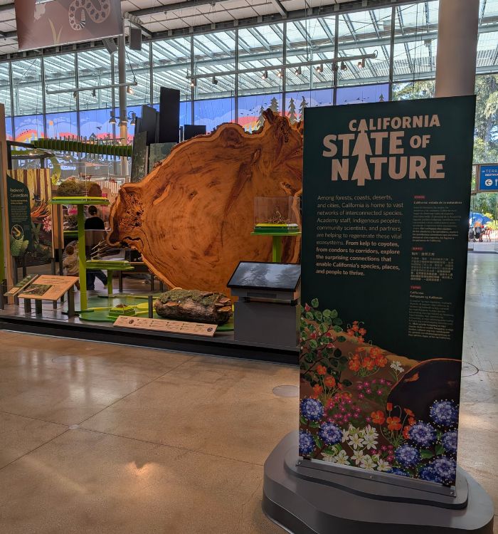 The State of Nature Exhibit at the California Academy of Sciences