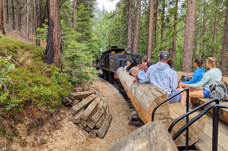 Log Seating on Train