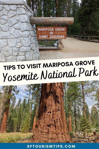 Mariposa Grove Pinterest Pin