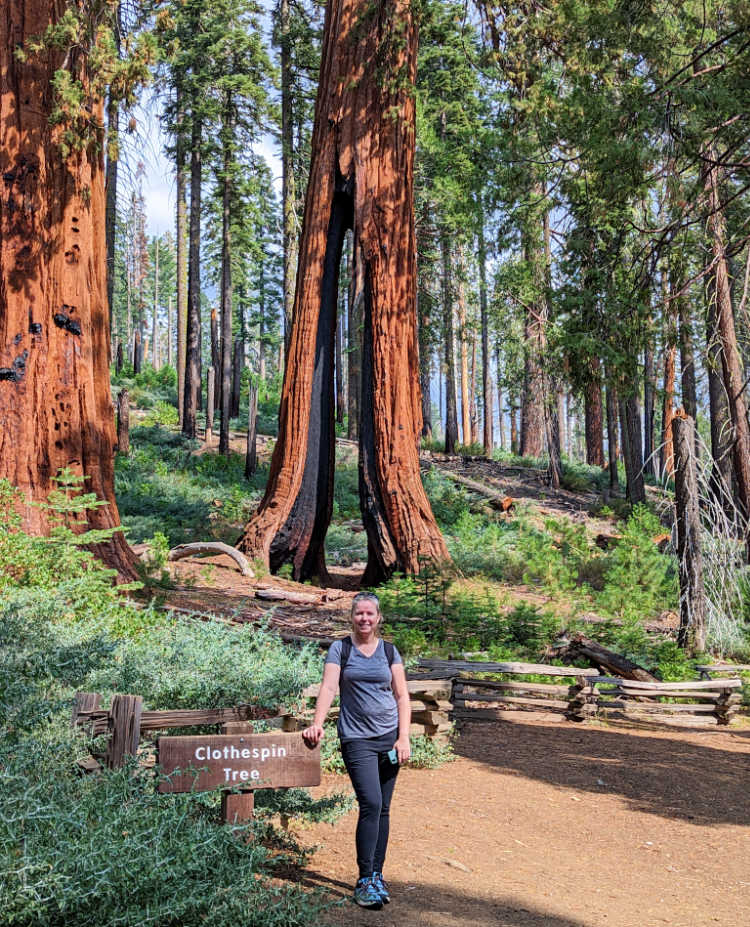 Me in front of the Clothespin Tree in Mariposa Grove