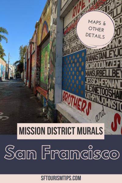 Mission District Murals Pin