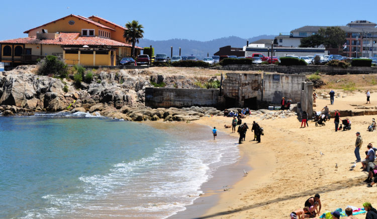 Monterey Beaches