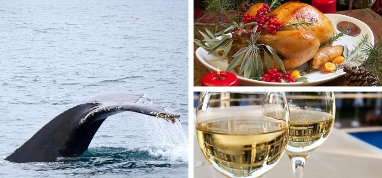 Csulb thanksgiving break 2024
