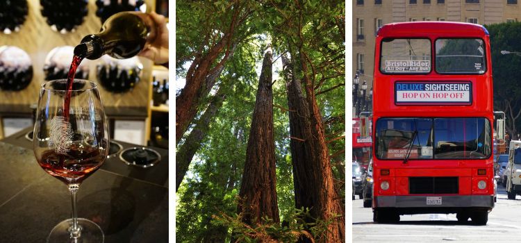 Mother's Day Napa Muir & Hop On