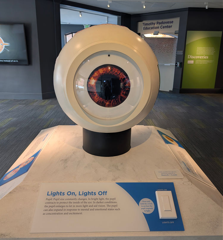 An exhibit inside the Museum of the Eye in Fisherman's Wharf