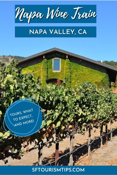 Napa Valley wine Train Pin