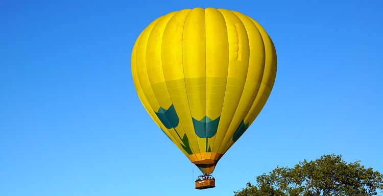 Hot air balloon over the Napa Valley in July