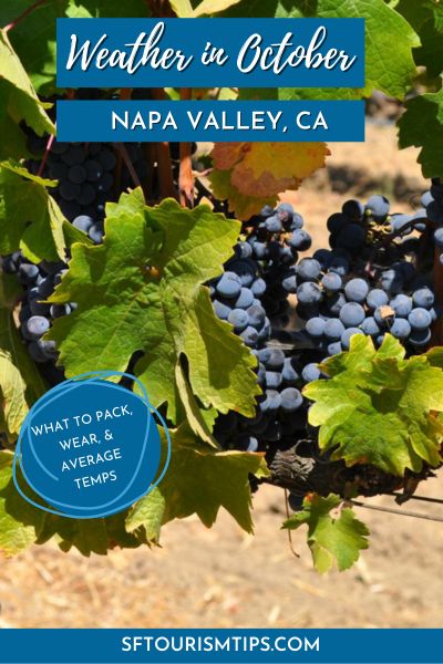 Napa Weather in October Pin