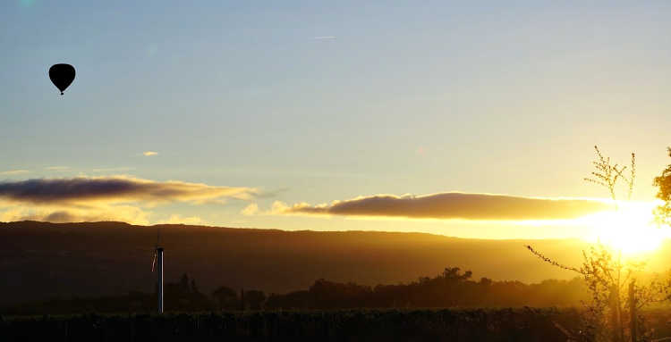 Napa Weather in June