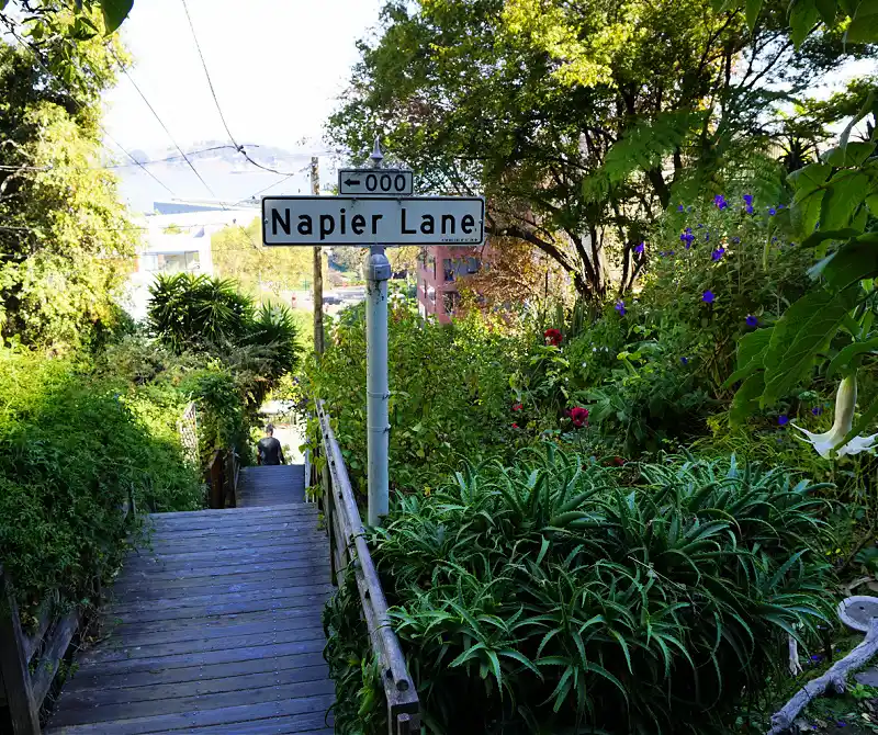 The wooden stairs near Napier Lane in SF.