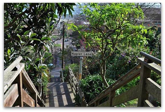 Napier Lane in San Francisco