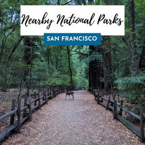 national parks near sf 300