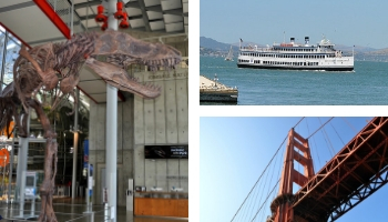 New Year's Day Events & Activities New Year's Day Events & Activities