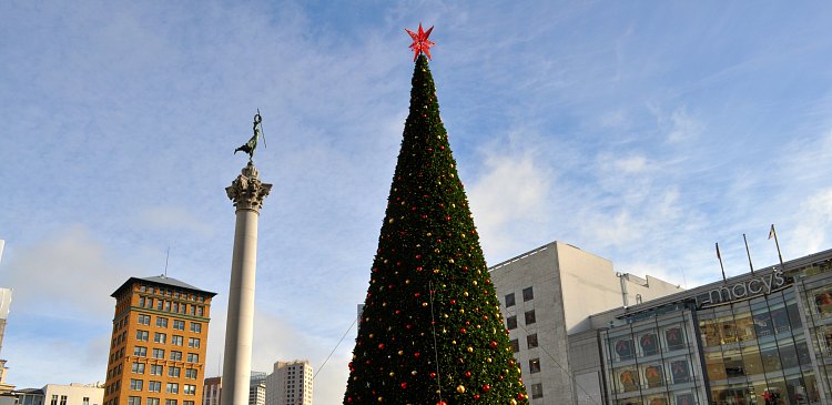 San Francisco Weather in November: What to Pack