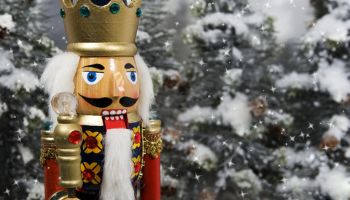 Nutcracker Nutcracker