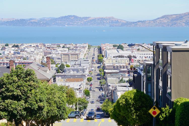Views of the SF Bay from Alta Plaza Park